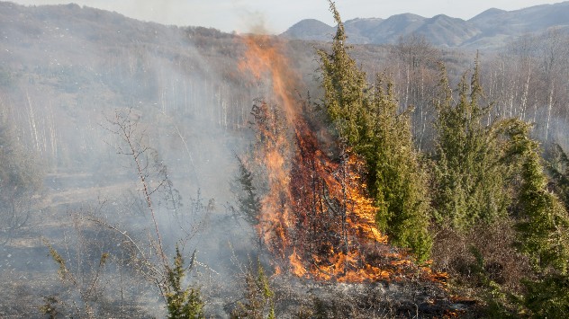 incendii de vegetatie România