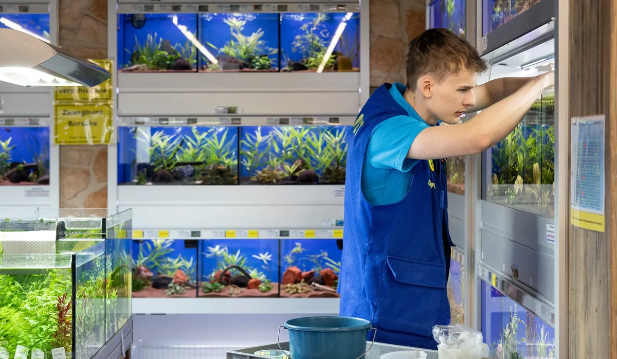 Detailhandeslfachmann Bereich Zoohandel; Jamie Jäggi; 1 Lj.; 17 Jahre; Qualipet Steinhausen Berufswahl: Wer bin ich eigentlich? Auszubildener im Zoohandel