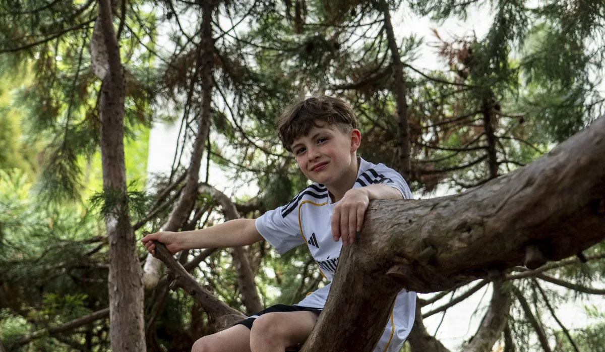 Neue Autorität: Schüler auf einem Baum