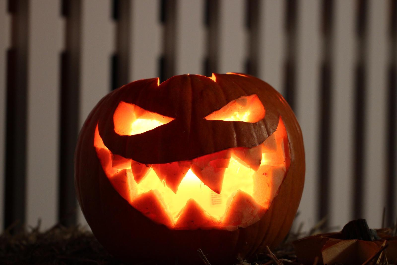 Jedes Kind weiss: An Halloween gibt es reichlich Süssigkeiten und eine Menge Grusel-Spass.
