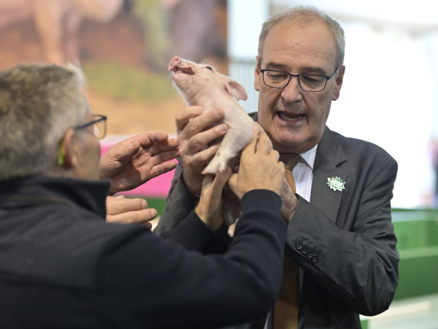 Olma-Säuli Vivienne war nervös. Bundesrat Guy Parmelin versuchte vergeblich, das Ferkel zu beruhigen.