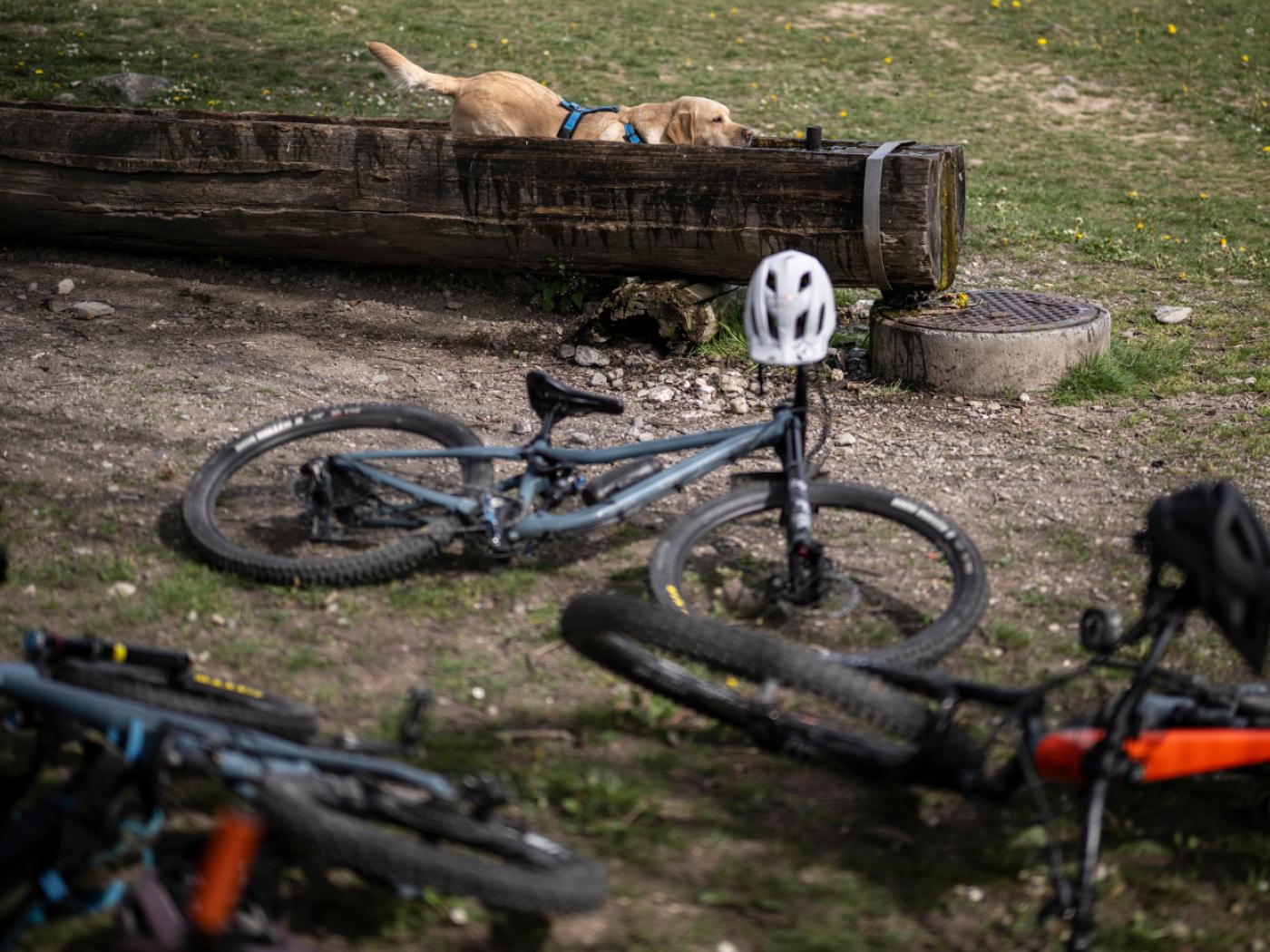 Der Kanton St. Gallen bietet auch im Herbst zahlreiche Ausflugsmöglichkeiten – von historischen Sehenswürdigkeiten über eindrückliche Berglandschaften bis hin zu sportlichen Aktivitäten.