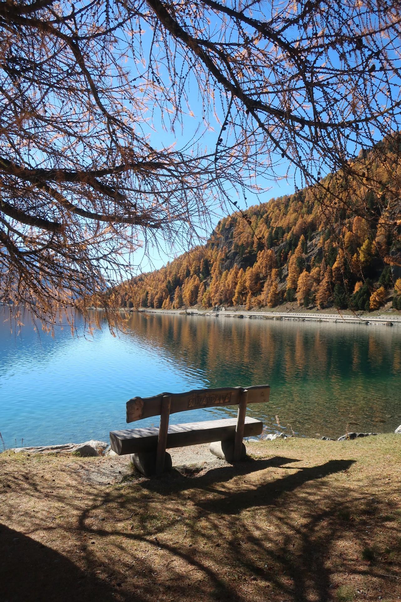 Herbst in seiner schönsten Form: Die farbenprächtige Landschaft im Engadin verzaubert.