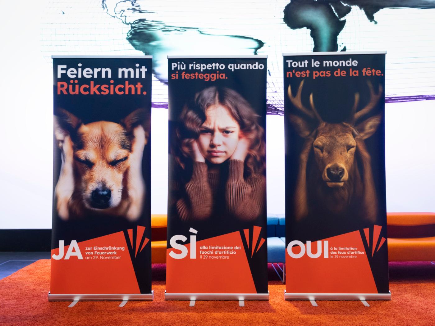 Die Urheberinnen und Urheber der Feuerwerksinitiative plädieren für rücksichtsvolles Feiern ohne lautes Feuerwerk.
