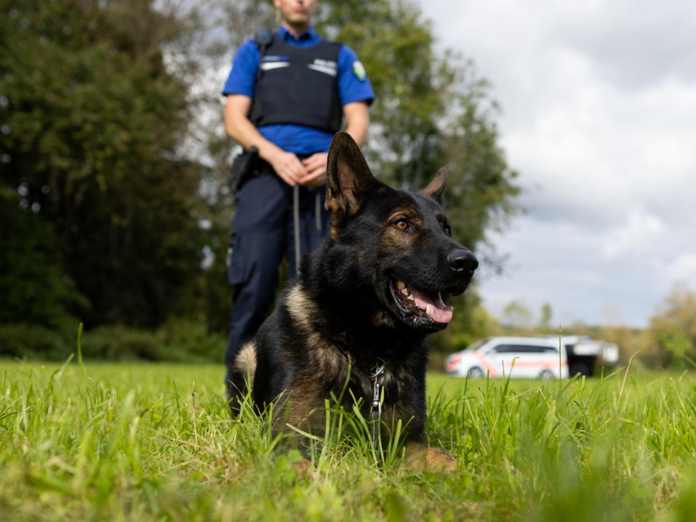 Diensthunde von Schweizer Polizeieinheiten waren diese Woche im Trainingslager in Rom. (Archivbild)