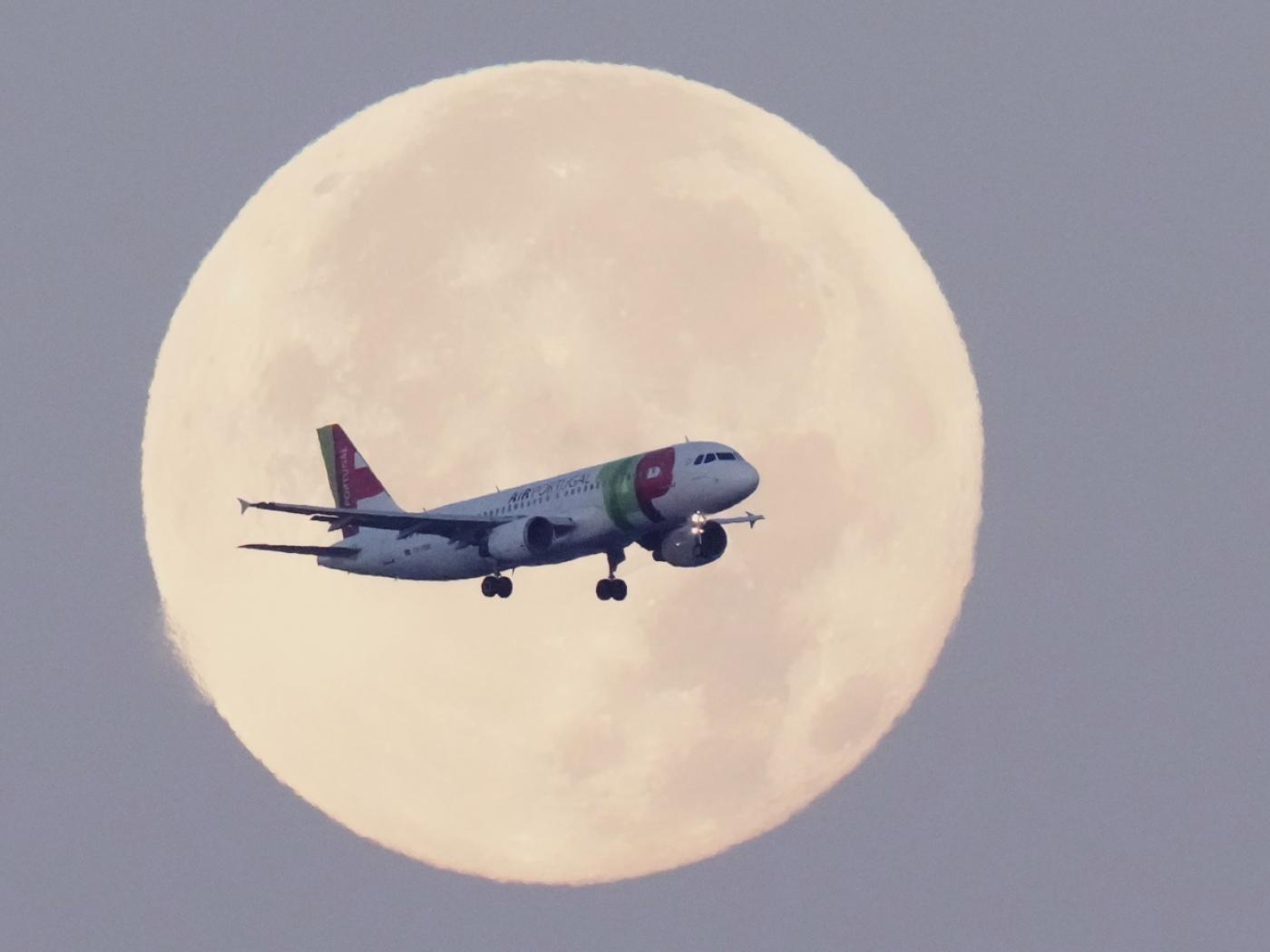 Die Lufthansa soll für die portugiesische Fluggesellschaft TAP ein bevorzugter Partner werden. Die Lufthansa hielt dafür den Zuschlag von der portugiesischen Regierung.(Symbolbild)