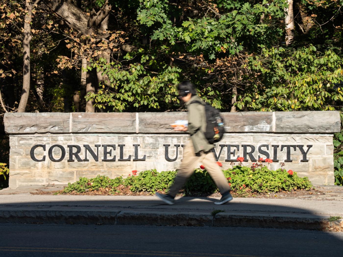 ARCHIV - Eine Person über den Campus der Cornell University. Foto: Matt Burkhartt/AP/dpa