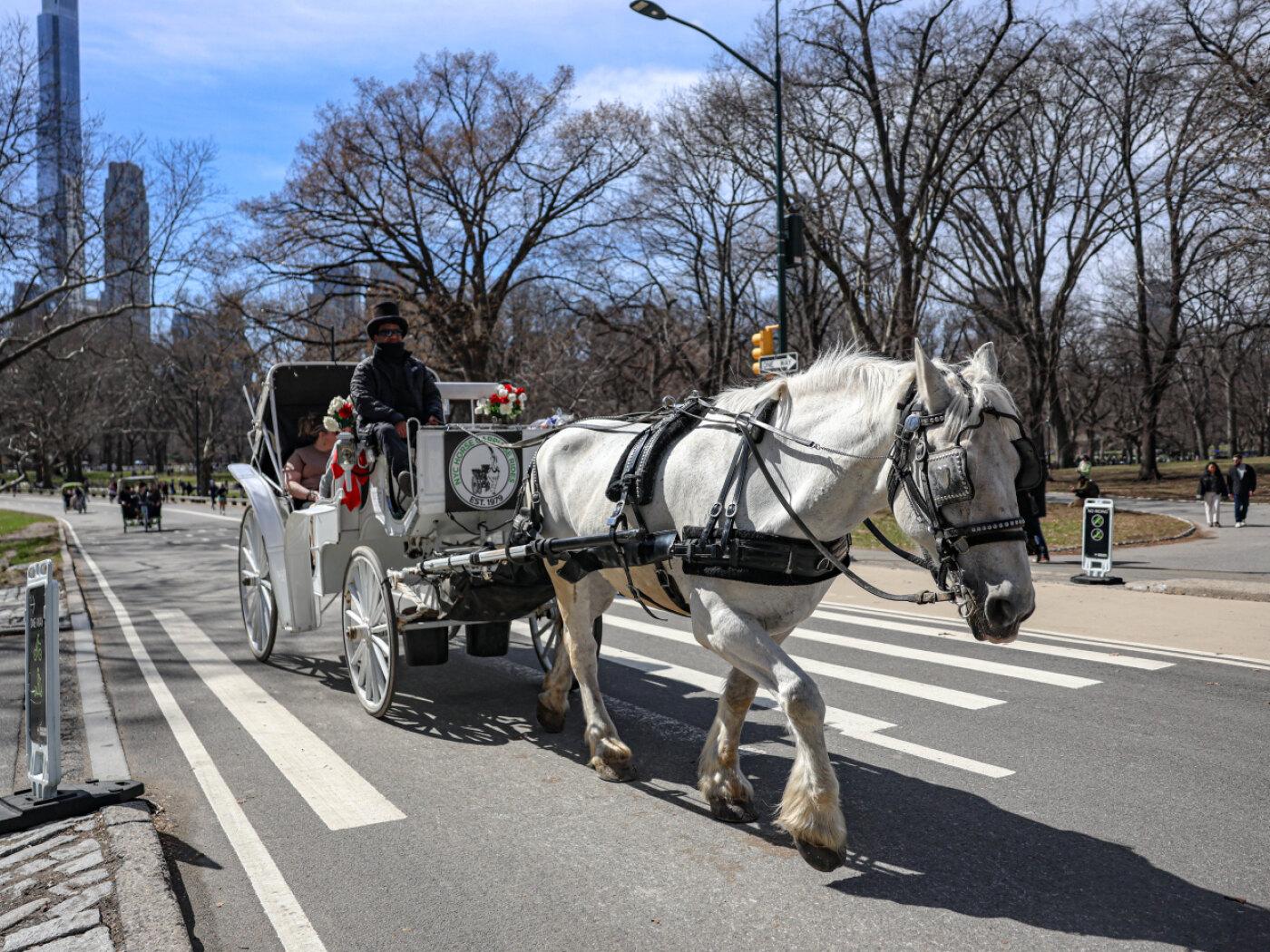 ARCHIV - Eine Pferdekutsche in New York. Foto: Bianca Otero/ZUMA Press Wire/dpa