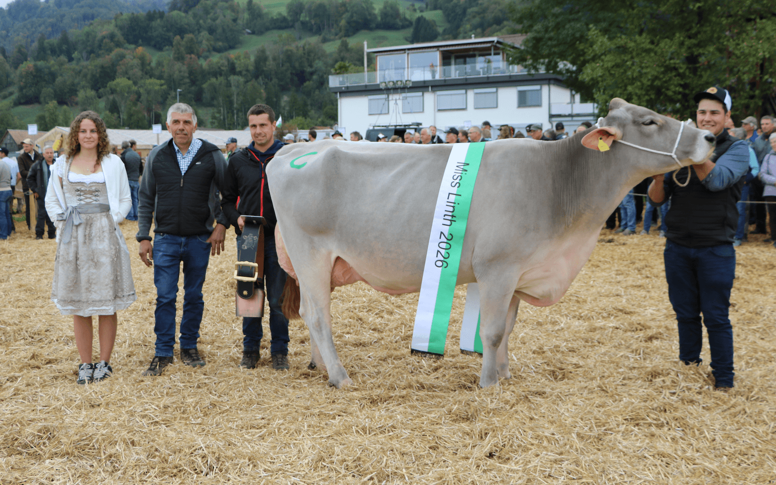 Kuh Dria, Familie Schirmer, Goldingen