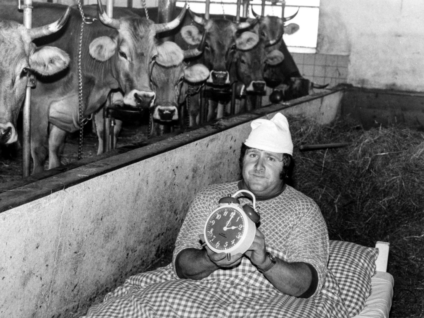 Ob des Bauern Kühe auch die Zeitumstellung abschaffen wollen, ist unklar. (Archivbild)