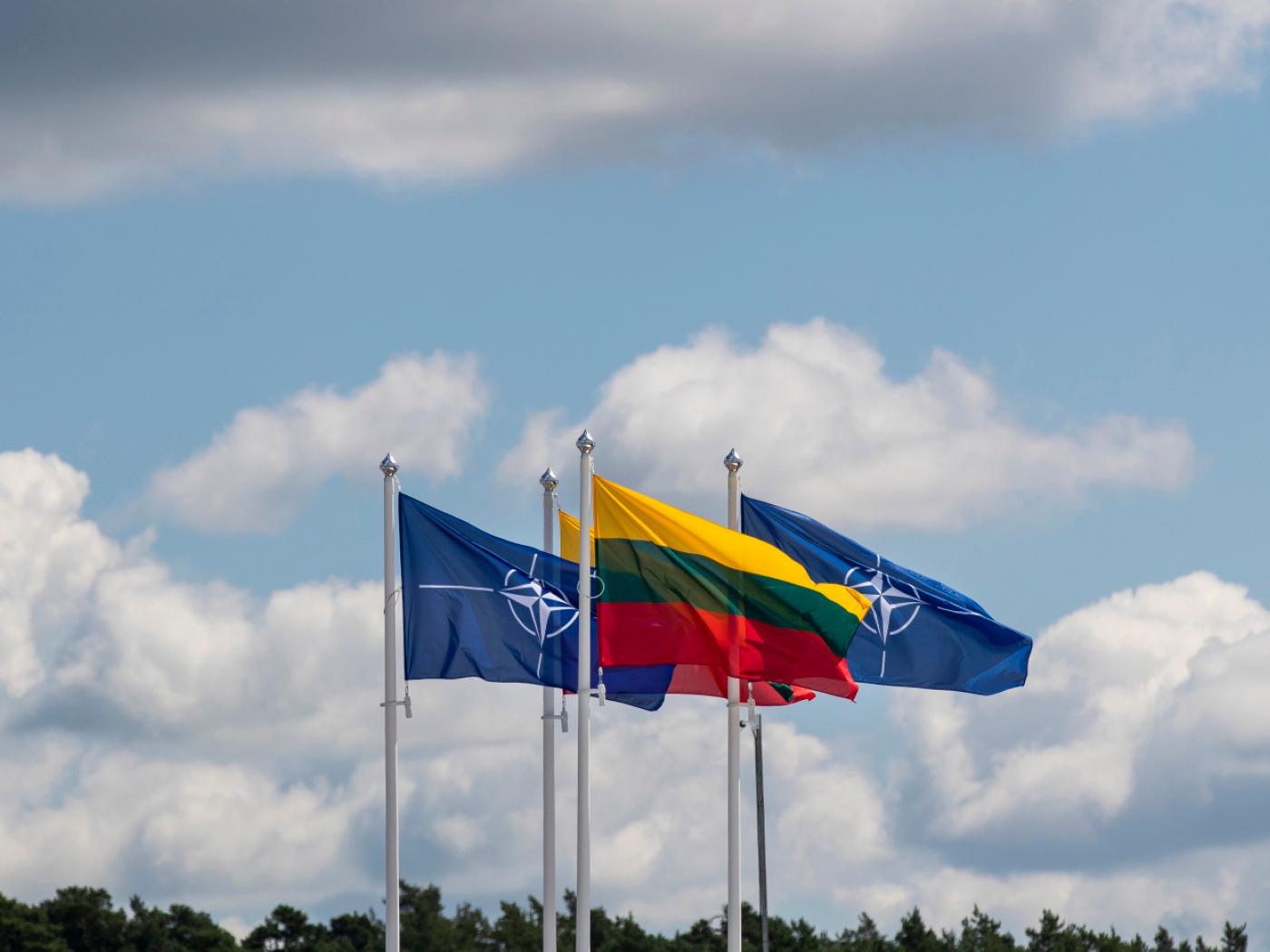 ARCHIV - Flaggen der NATO-Mitgliedsländer wehen im Wind vor dem Veranstaltungsort des NATO-Gipfels. Foto: Mindaugas Kulbis/AP/dpa (Archivbild)