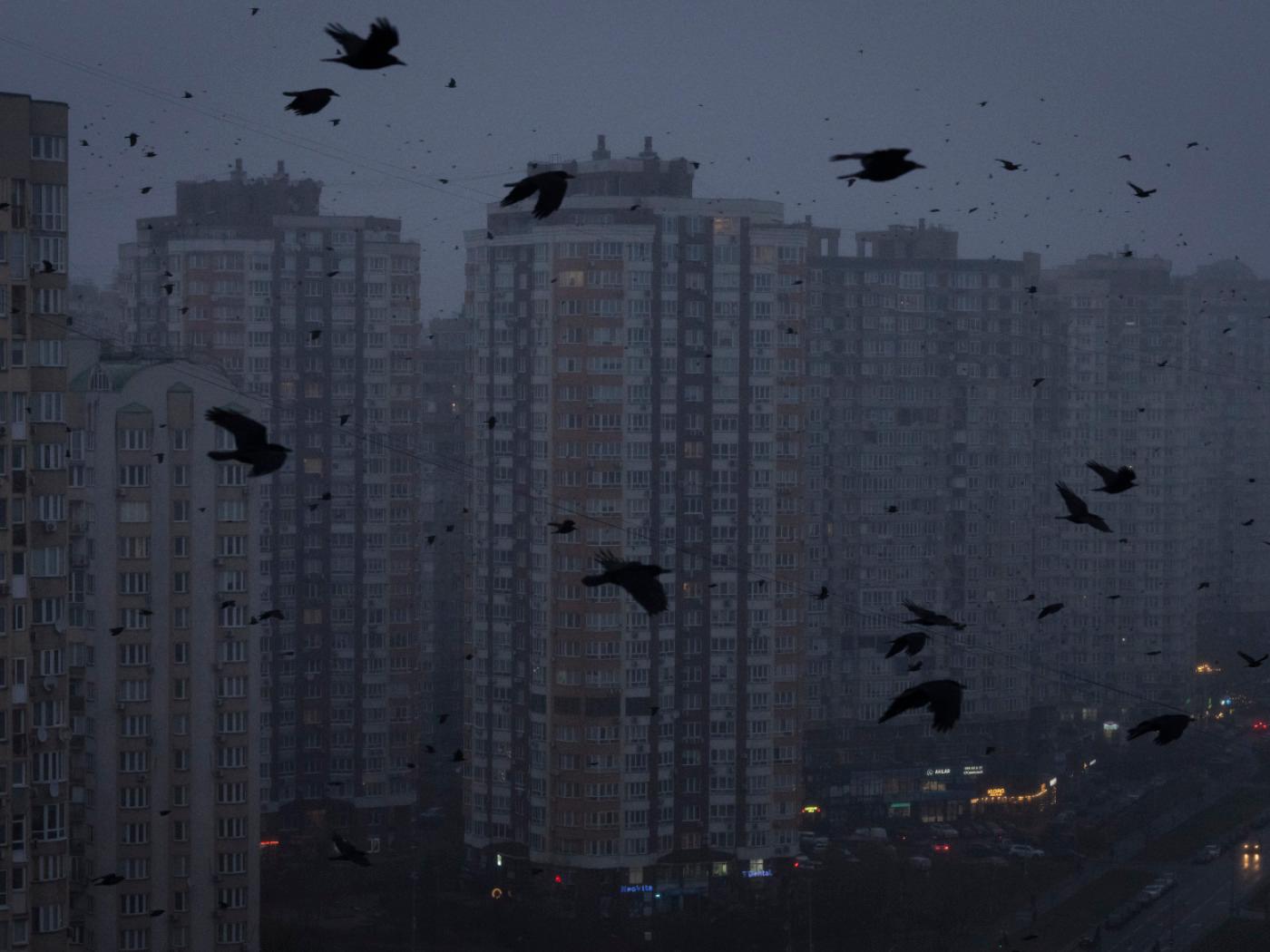 ARCHIV - Krähen fliegen während eines Stromausfalls in Kiew über mehrstöckige Wohngebäude. Foto: Efrem Lukatsky/AP/dpa