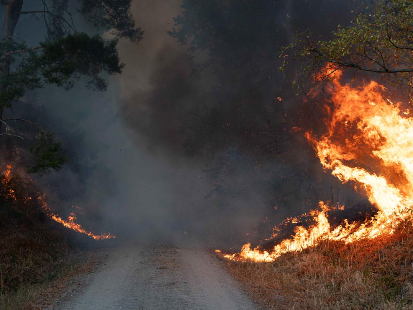 ARCHIV - Flammen sind am Rand eines Waldwegs im Hürtgenwald zu sehen. Wegen eines Waldbrandes in der Gemeinde Hürtgenwald wird der Ortsteil Gey evakuiert. Foto: Jan Ohmen/dpa