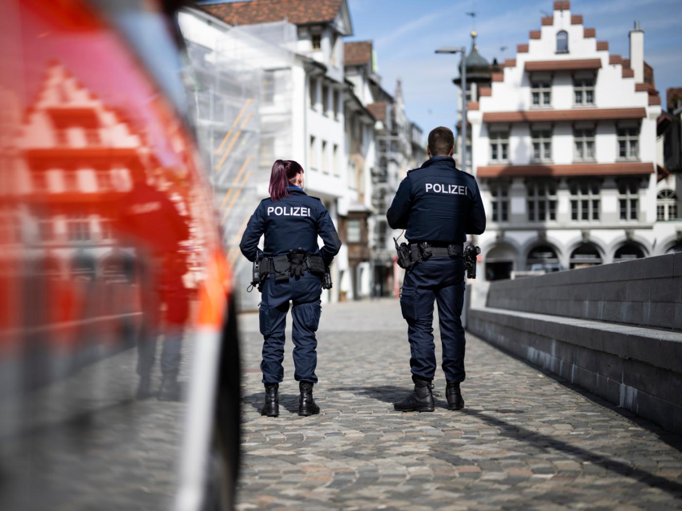 Die Stadtpolizei St. Gallen sucht nach einem dunkelbraunen Schaf. (Symbolbild)