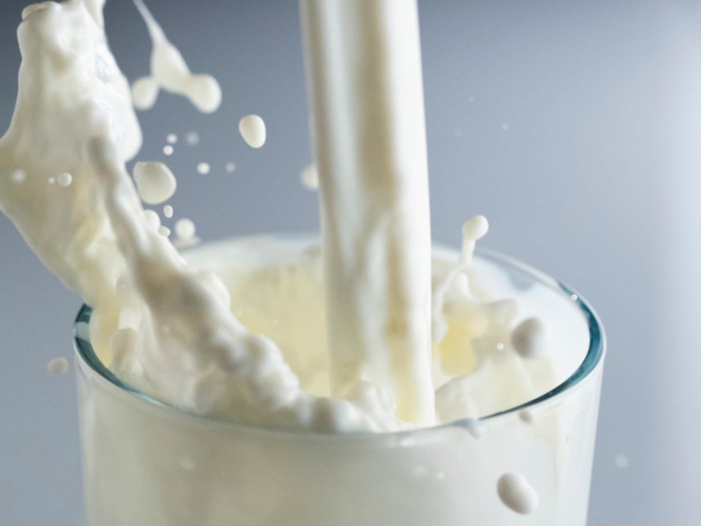 Schweizer Milch soll Klimaneutral werden. (Archivbild)
