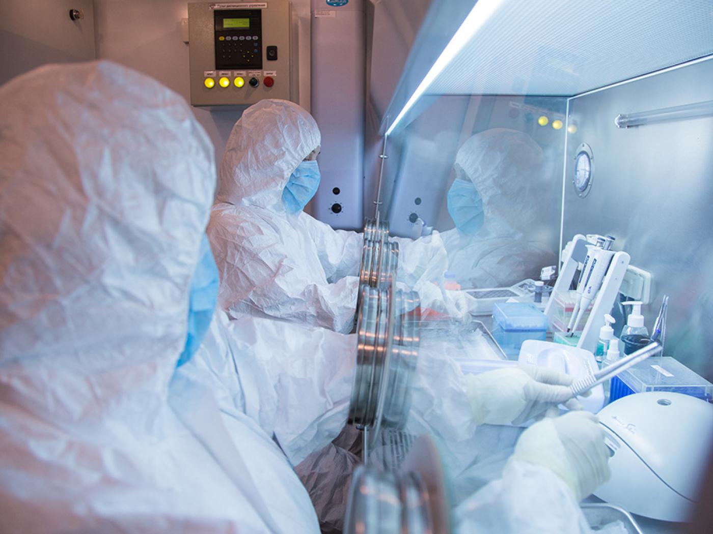 HANDOUT - Dieses undatierte im Jahr 2019 aufgenommene Foto, das vom Forschungsinstitut für Pestbekämpfung in Irkutsk für Sibirien und den Fernen Osten via AP veröffentlicht wurde, zeigt Mitarbeiter des Instituts in einem Labor. Foto: Uncredited/The Irkutsk Anti-Plague Research Institute of Siberia and Far East/AP/dpa