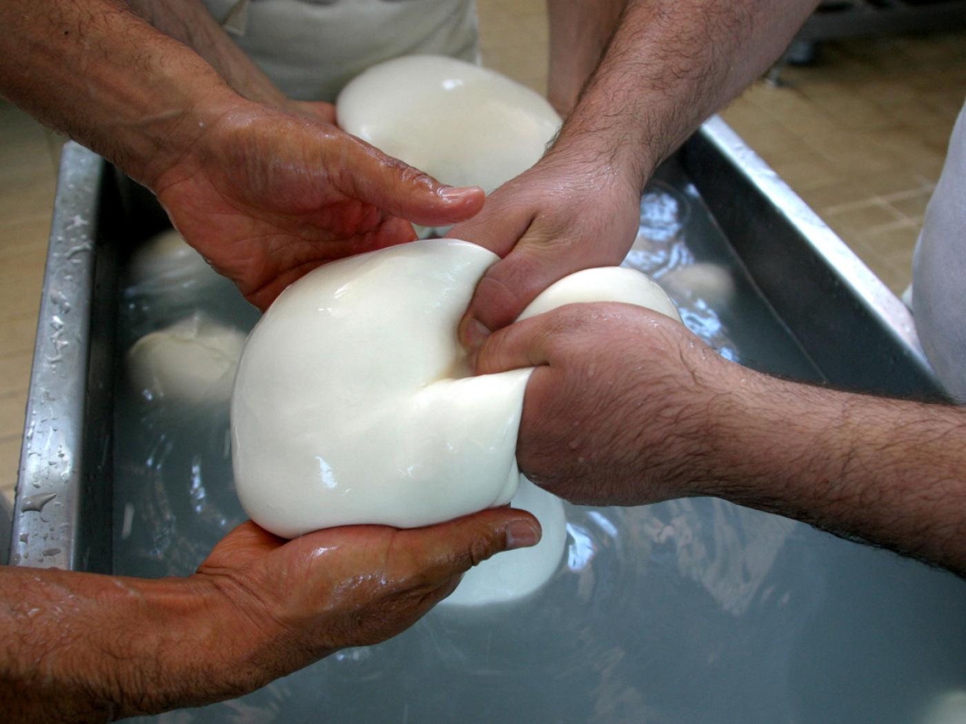 ARCHIV - Die Herstellung von Büffelmozzarella in einer Molkerei in Caserta bei Neapel, Süditalien. Foto: Franco Castano'/AP/dpa