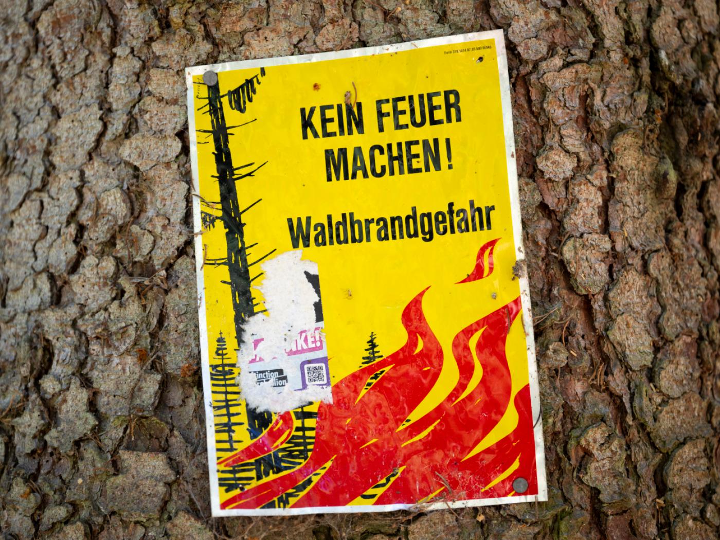 Die Waldbrandgefahr in Ausserrhoden entspannt sich. (Symbolbild)