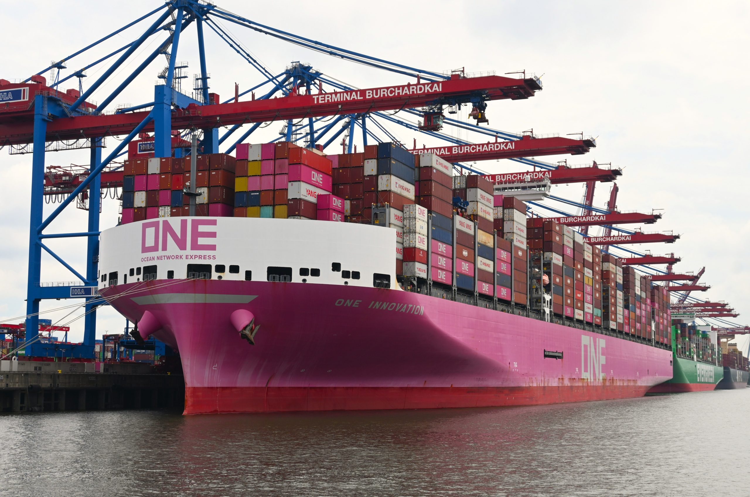 Magentafarbenes Containerschiff ONE Innovation mit hoch gestapelten Containern am Terminal Burchardkai im Hamburger Hafen. Mehrere große Containerbrücken ragen über das Schiff.