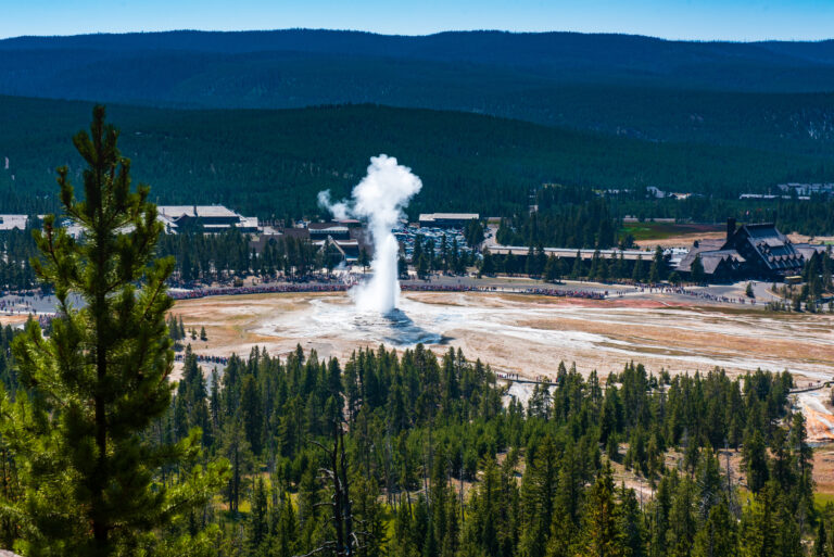 Old Faithful