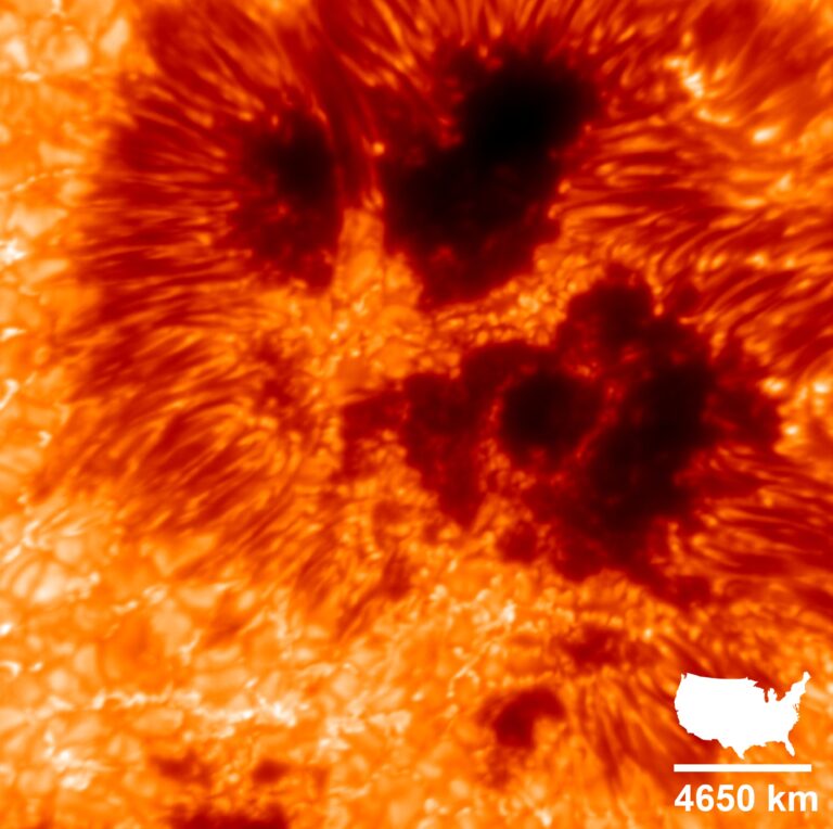 Sonnenflecken im Detail
